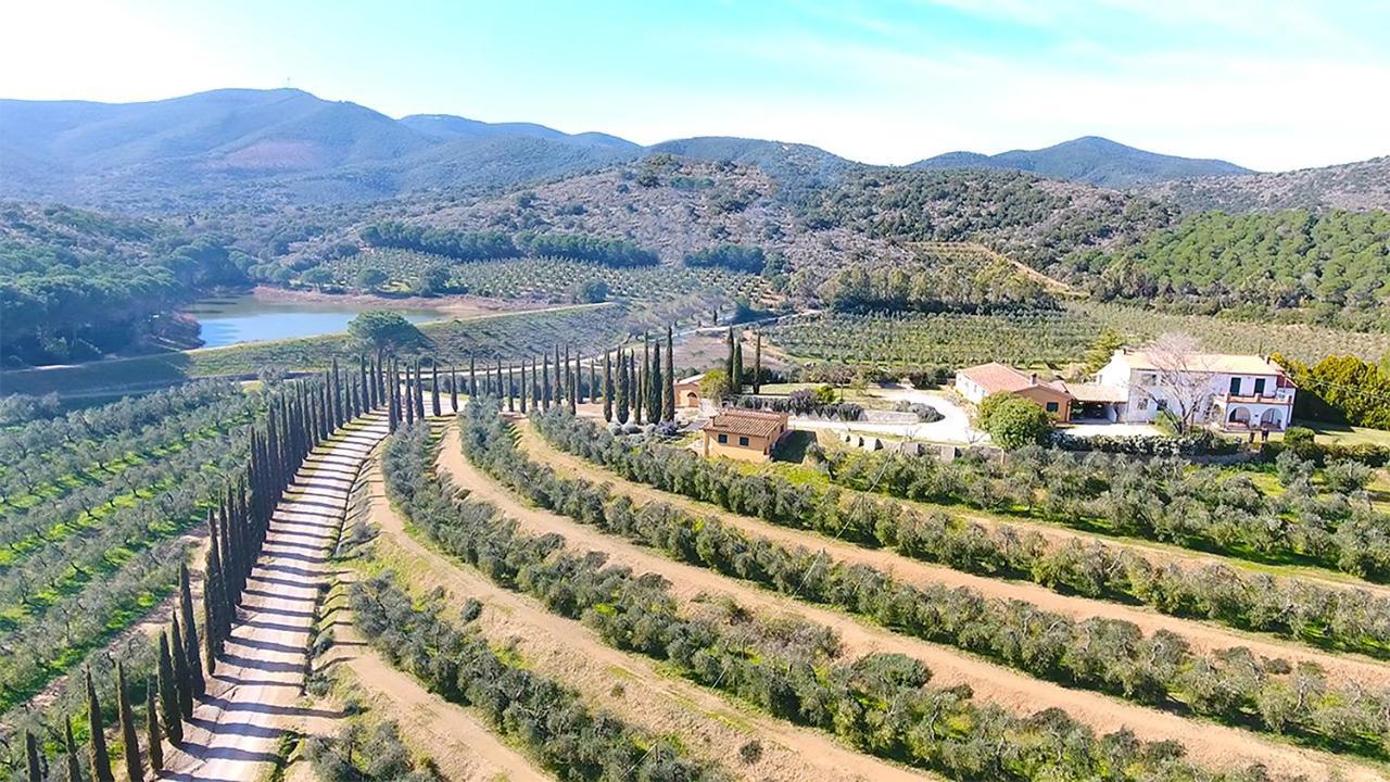 فيلا Kali Srl Societa Agricola كاستيغليون ديلا بيسكايا المظهر الخارجي الصورة